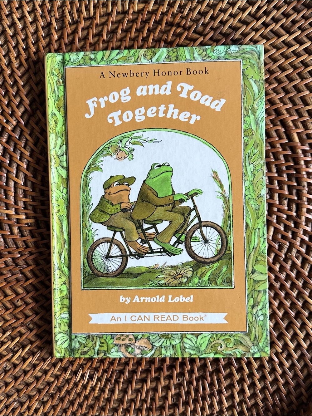 Frog and Toad Arnold Lobel Frog and Toad Together Vintage 70’s Hardback Reader